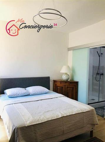 Appartement Standing Hotel Particulier 蒙彼利埃 外观 照片